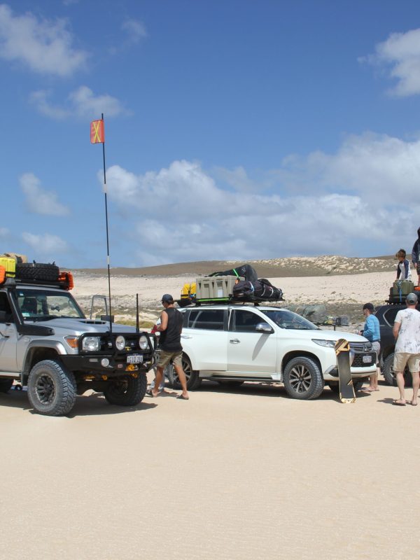 Tour-group-vehicles